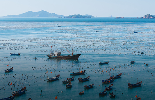 Marine Aquaculture